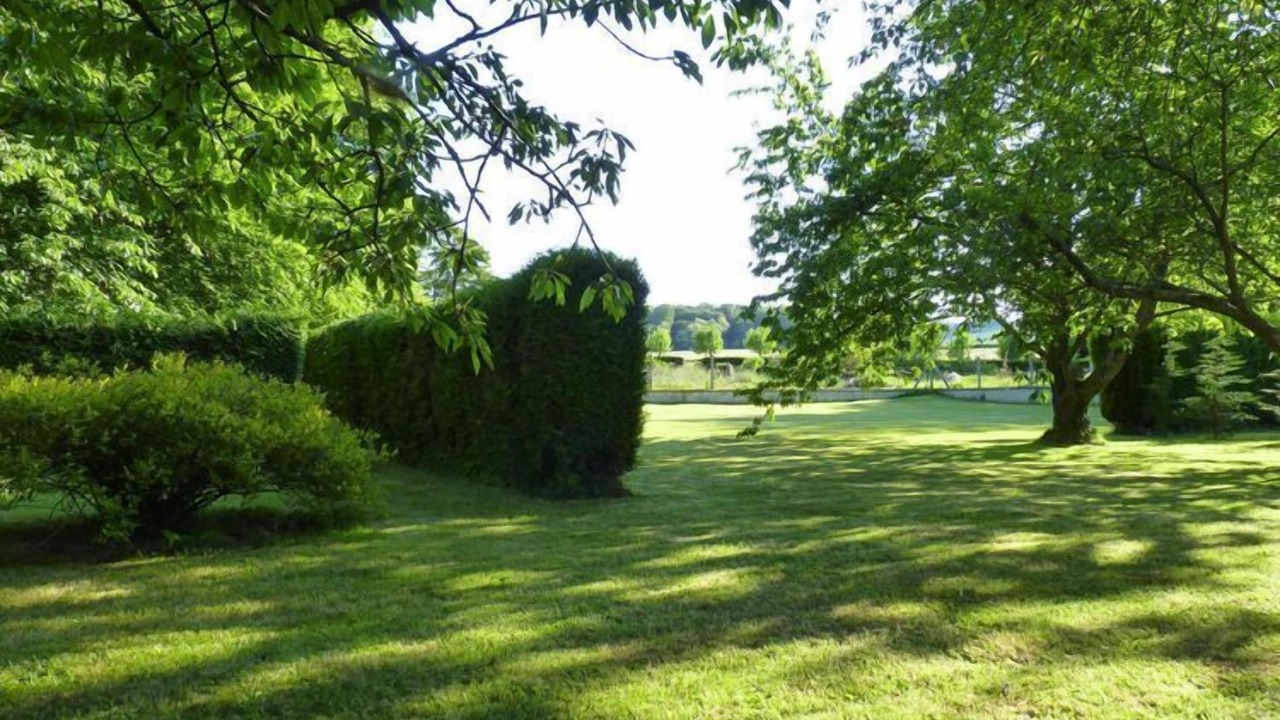 Photo of Outdoor in Rieux