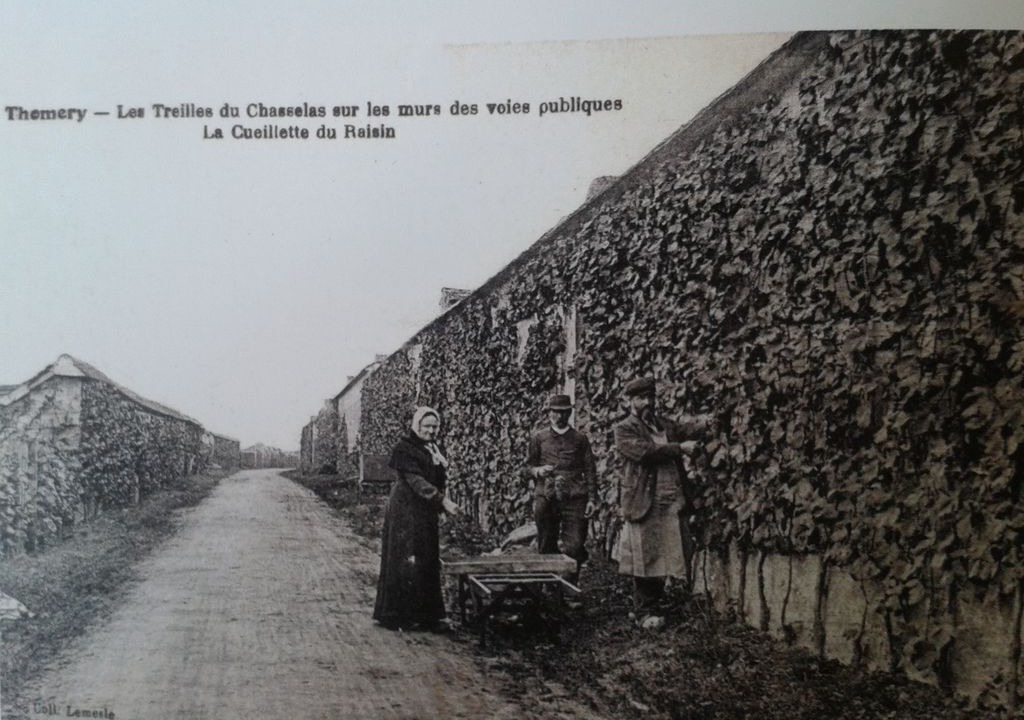 Photo of Outdoor in Thomery