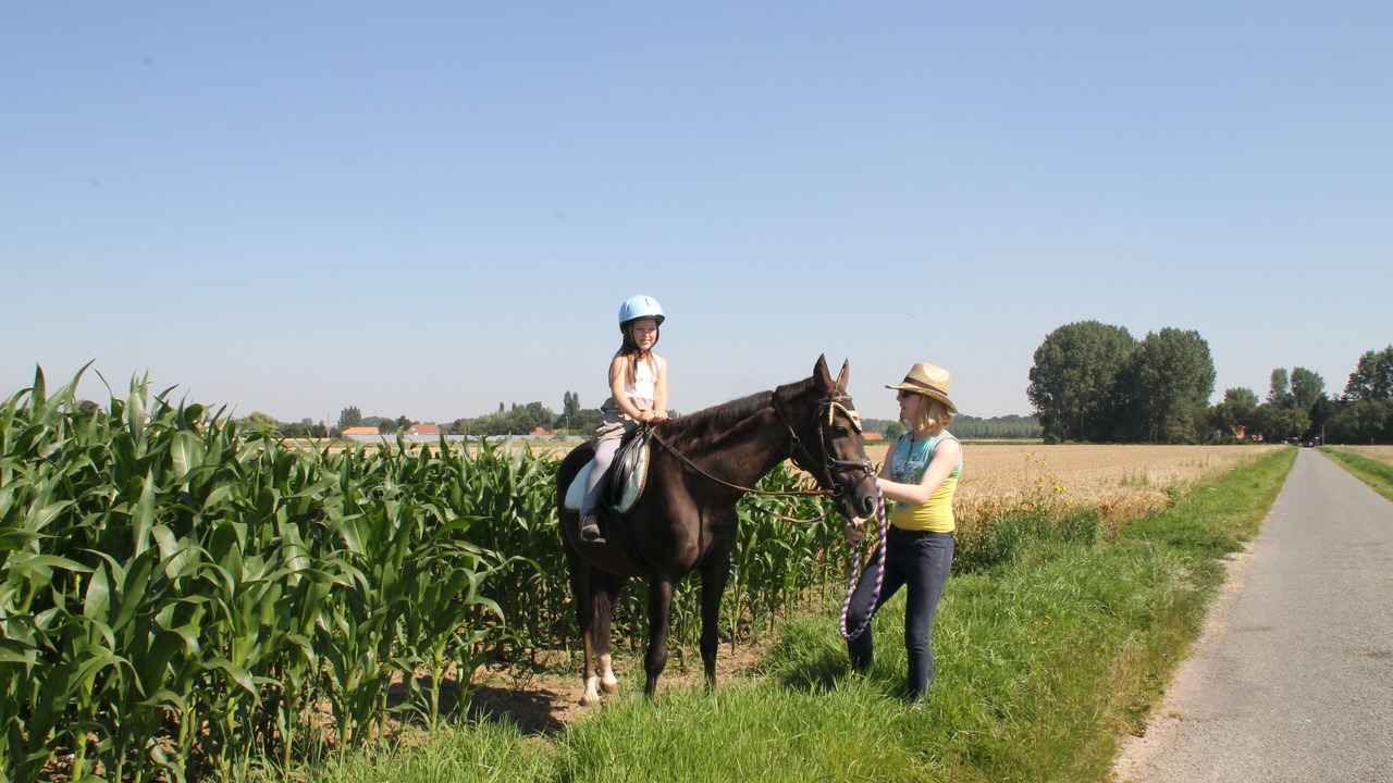 Photo of Outdoor in Nielles-les-Ardres