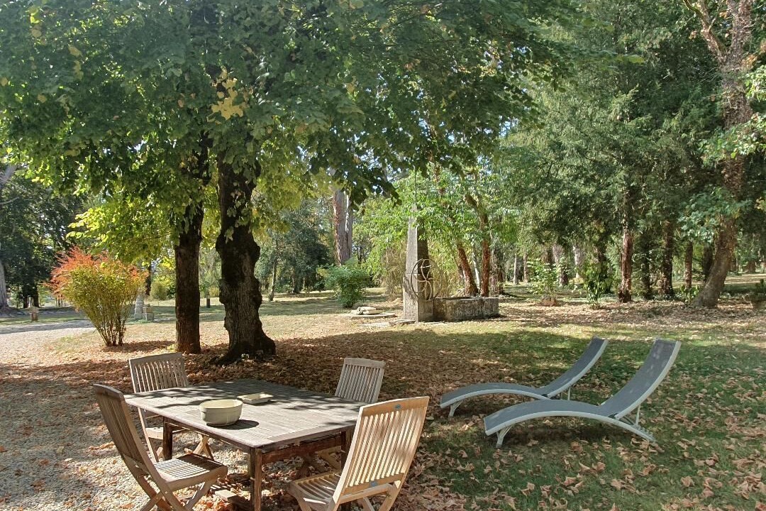 Photo of Outdoor in Amazy