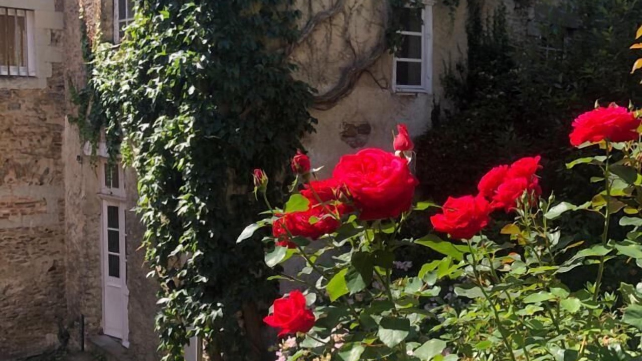 Photo of Outdoor in Laval