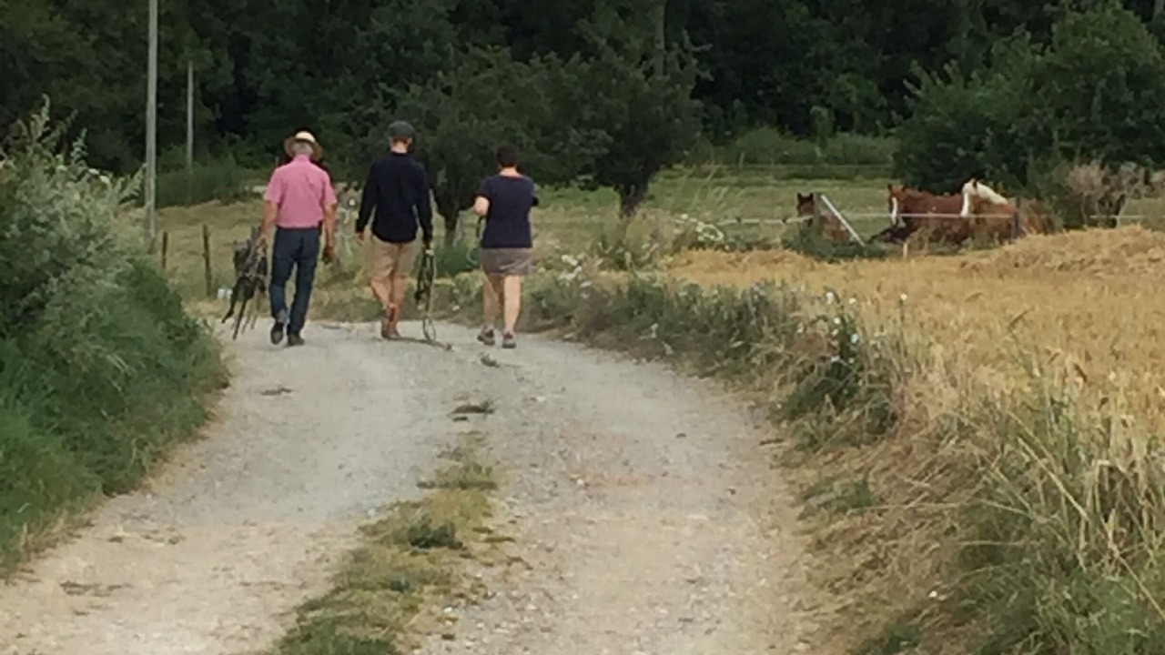 Photo of Others in Chierry