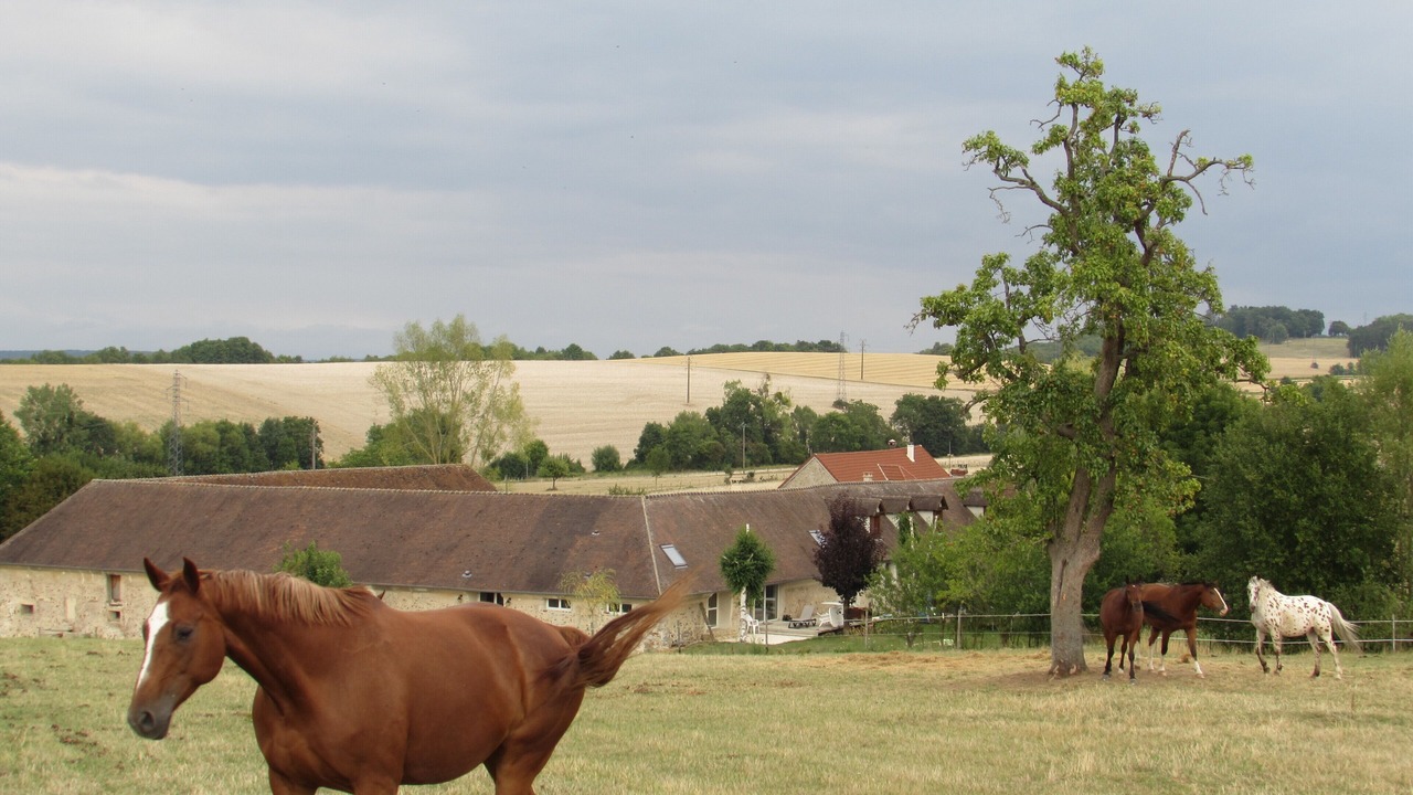 Photo of Outdoor in Chierry