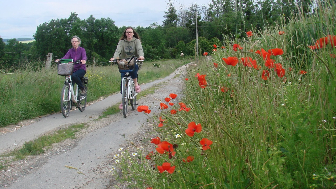 Photo of Outdoor in Chierry