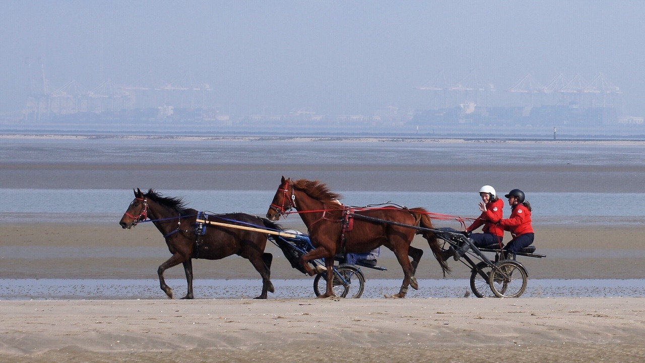 Photo of Others in Honfleur