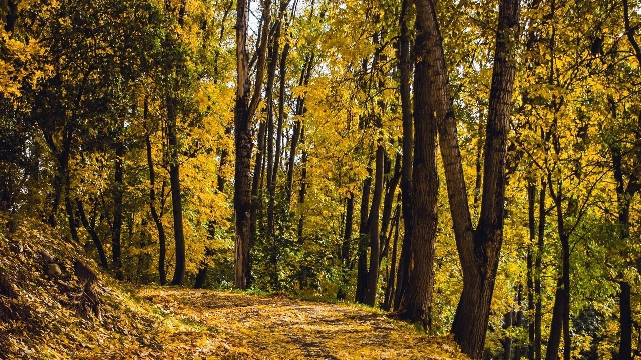 Photo of Outdoor in La Perriere