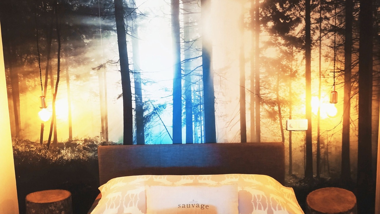 Photo of Bedroom in Chauzon