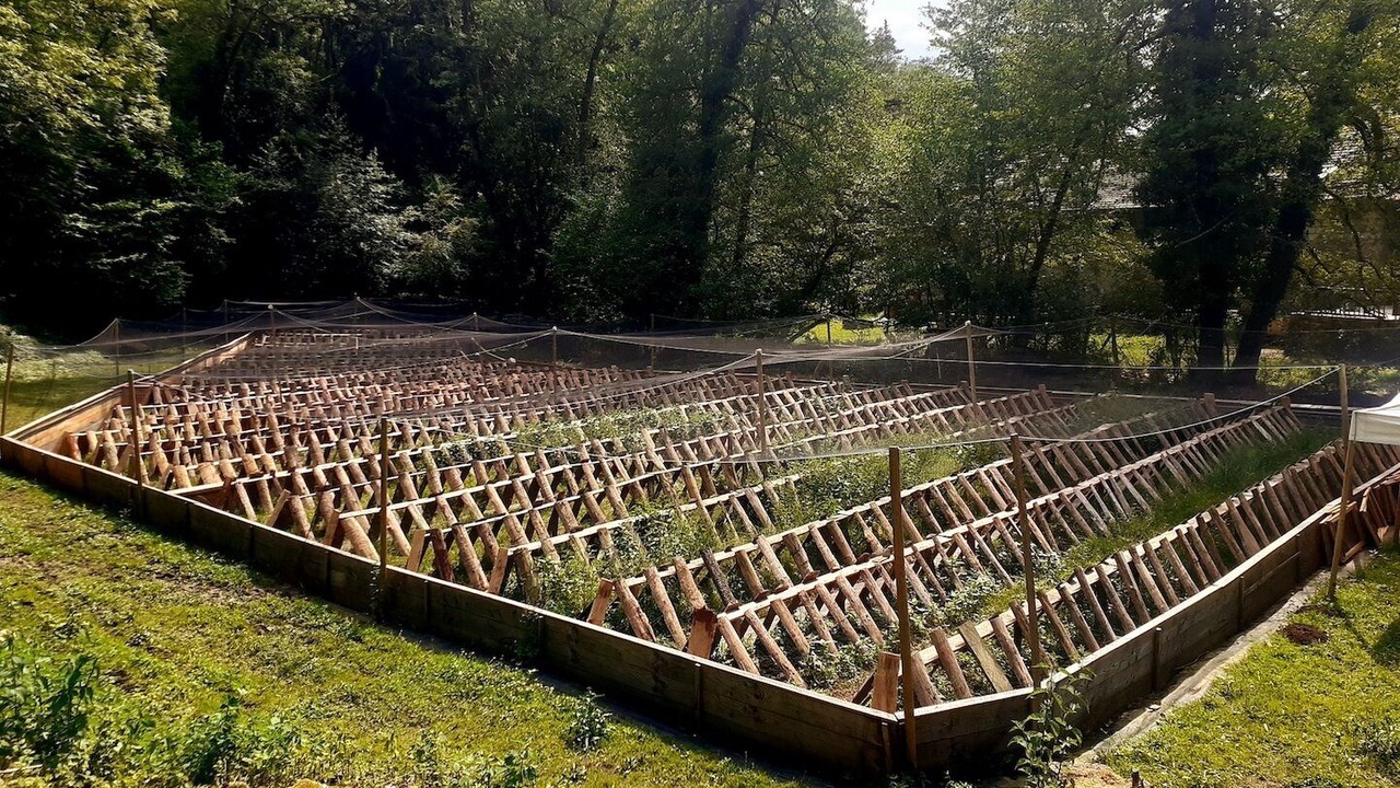 Photo of Others in Montagna-le-Templier