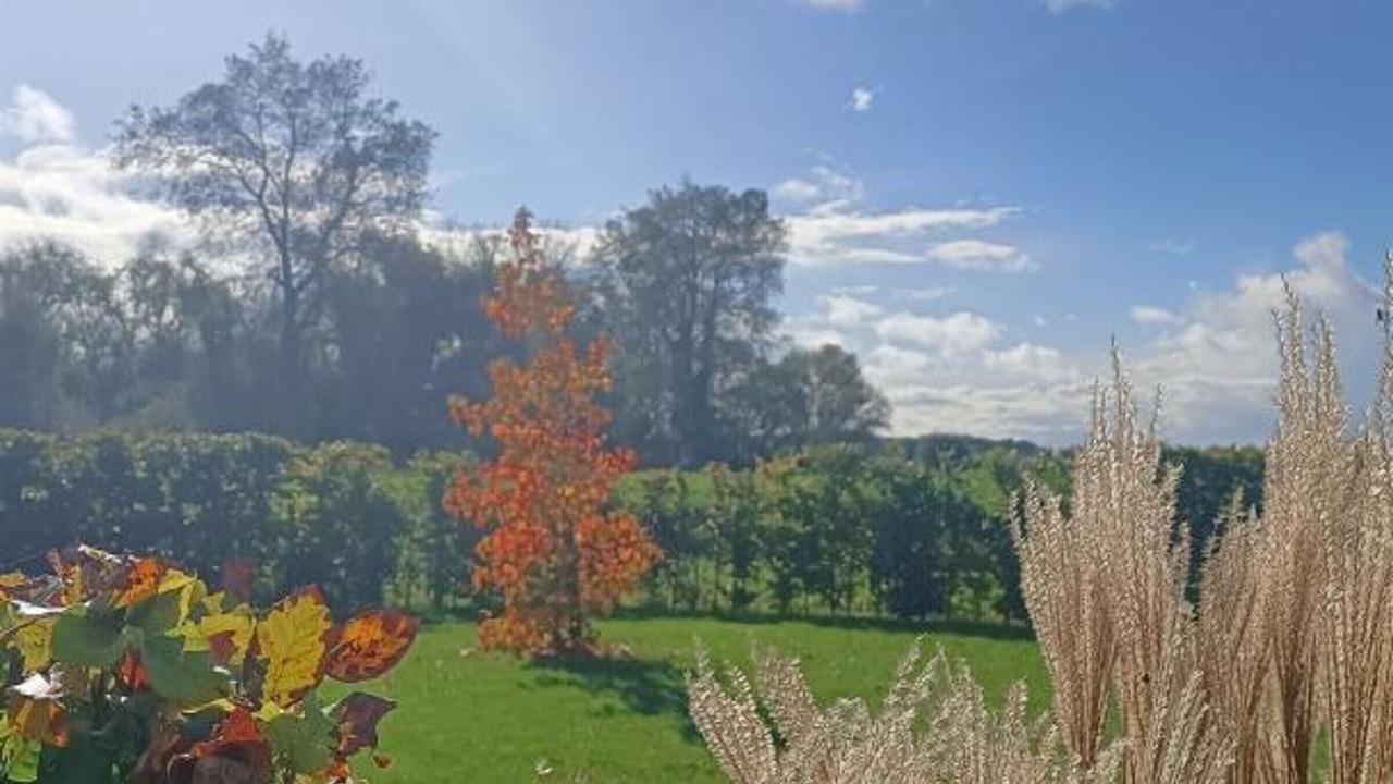 Photo of Outdoor in Nieppe