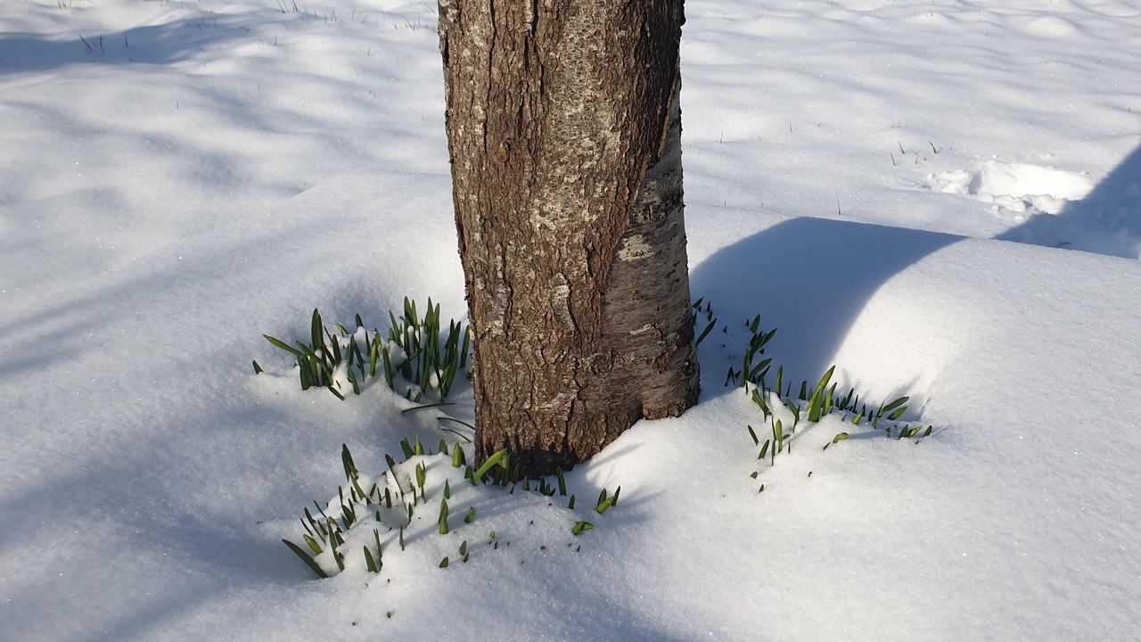 Photo of Outdoor in Belleme