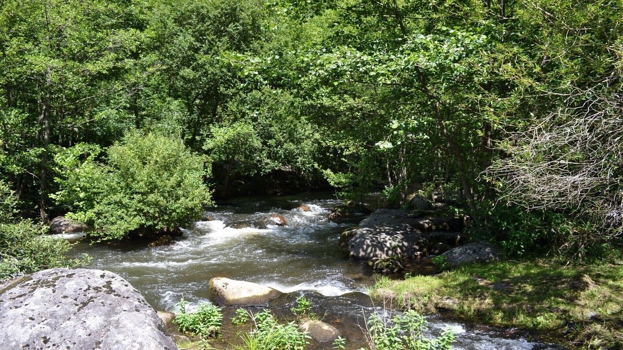 Photo of Outdoor in Ferrieres