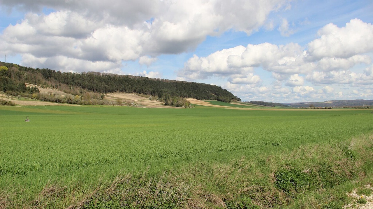 Photo of Others in Bouix
