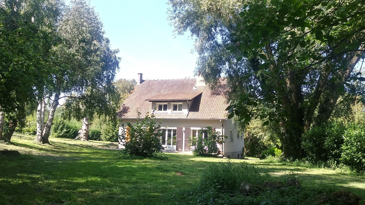 Photo of Outdoor in Saints