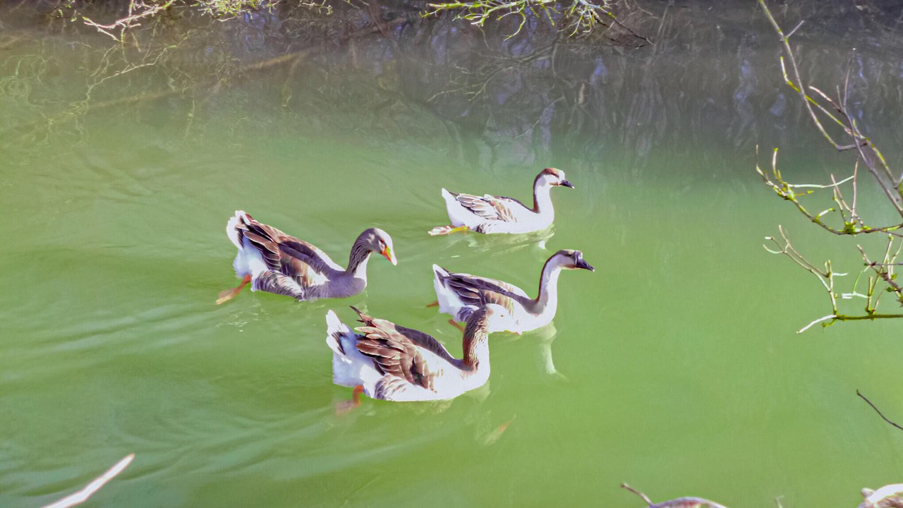 Photo of Others in Vaudoy