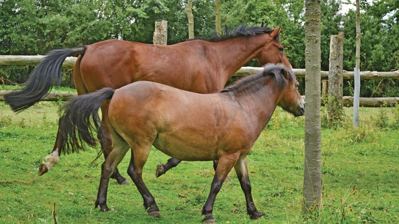 Photo of Others in Lottinghen