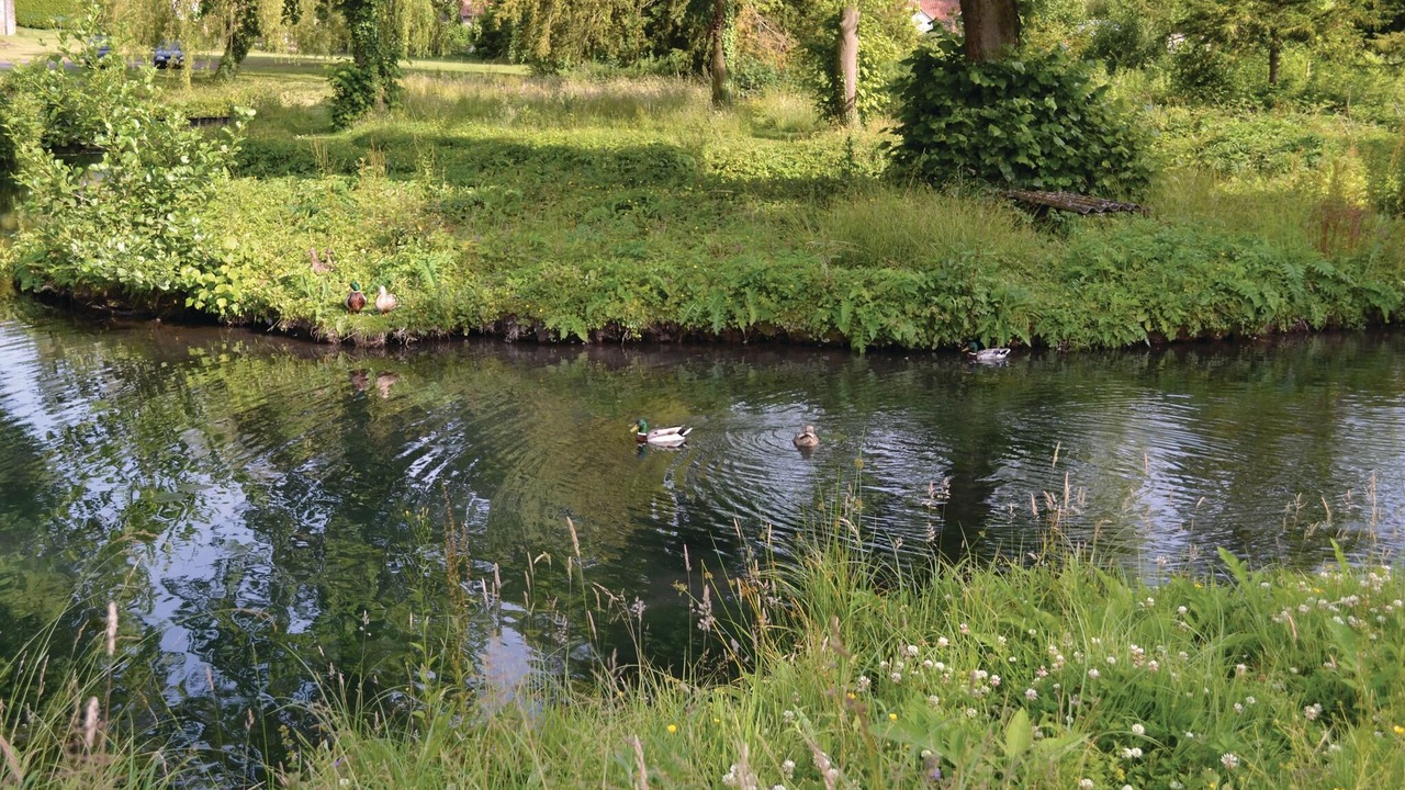 Photo of Others in Marconne