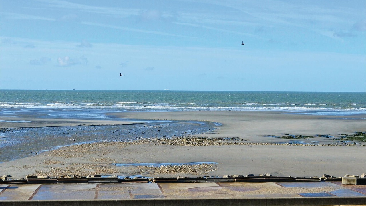 Photo of Bedroom in Wimereux