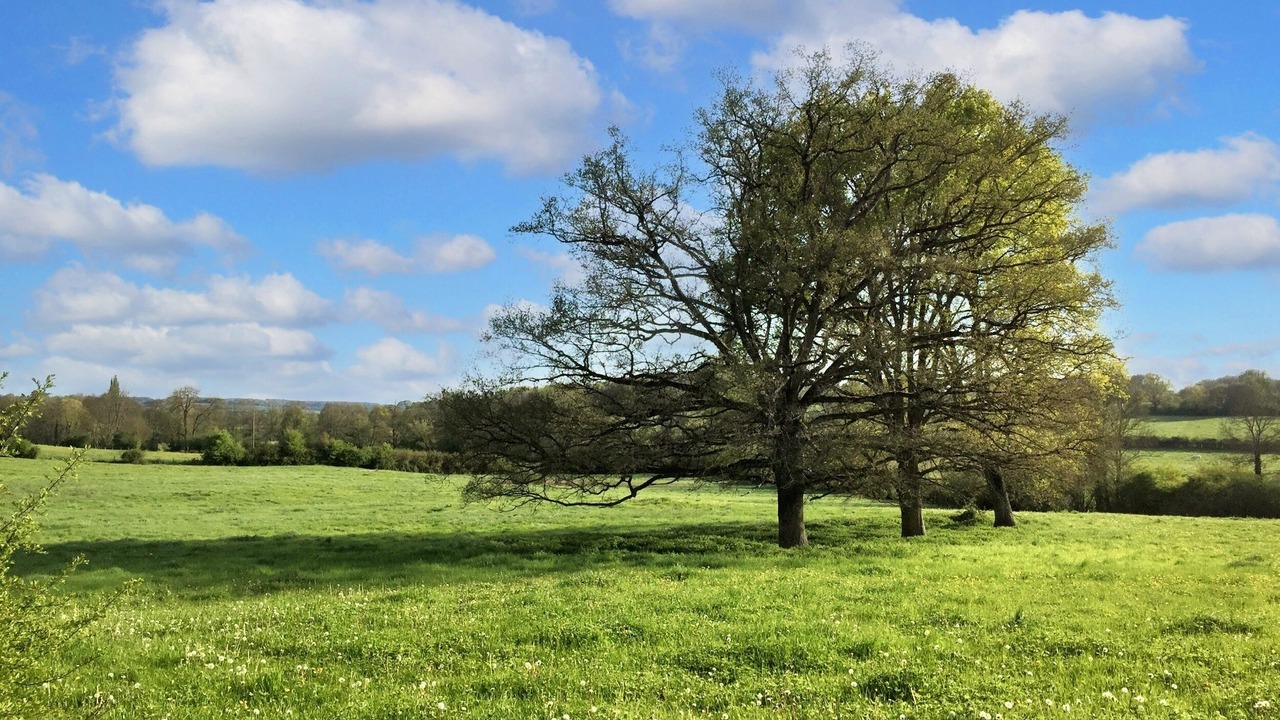 Photo of Others in Dampierre-sous-Bouhy