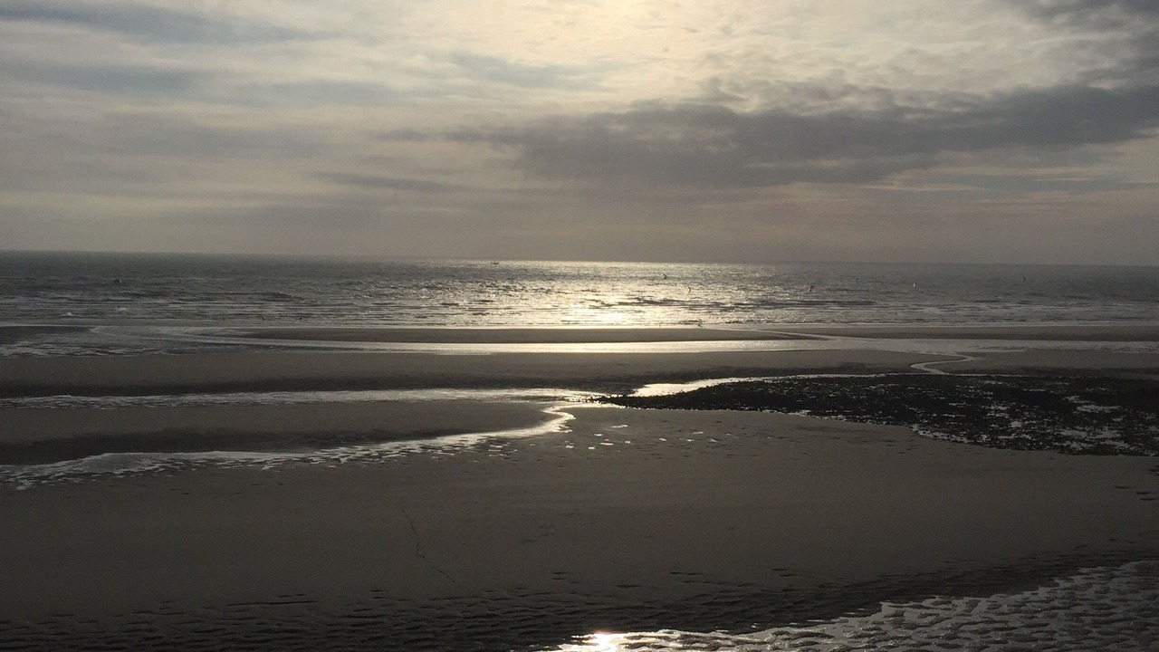 Photo of Others in Wimereux