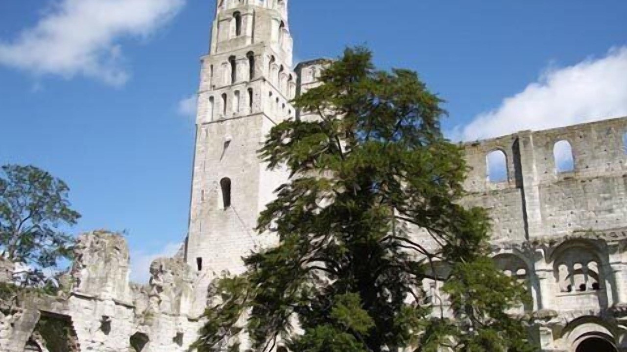 Photo of Others in Saint-Paer