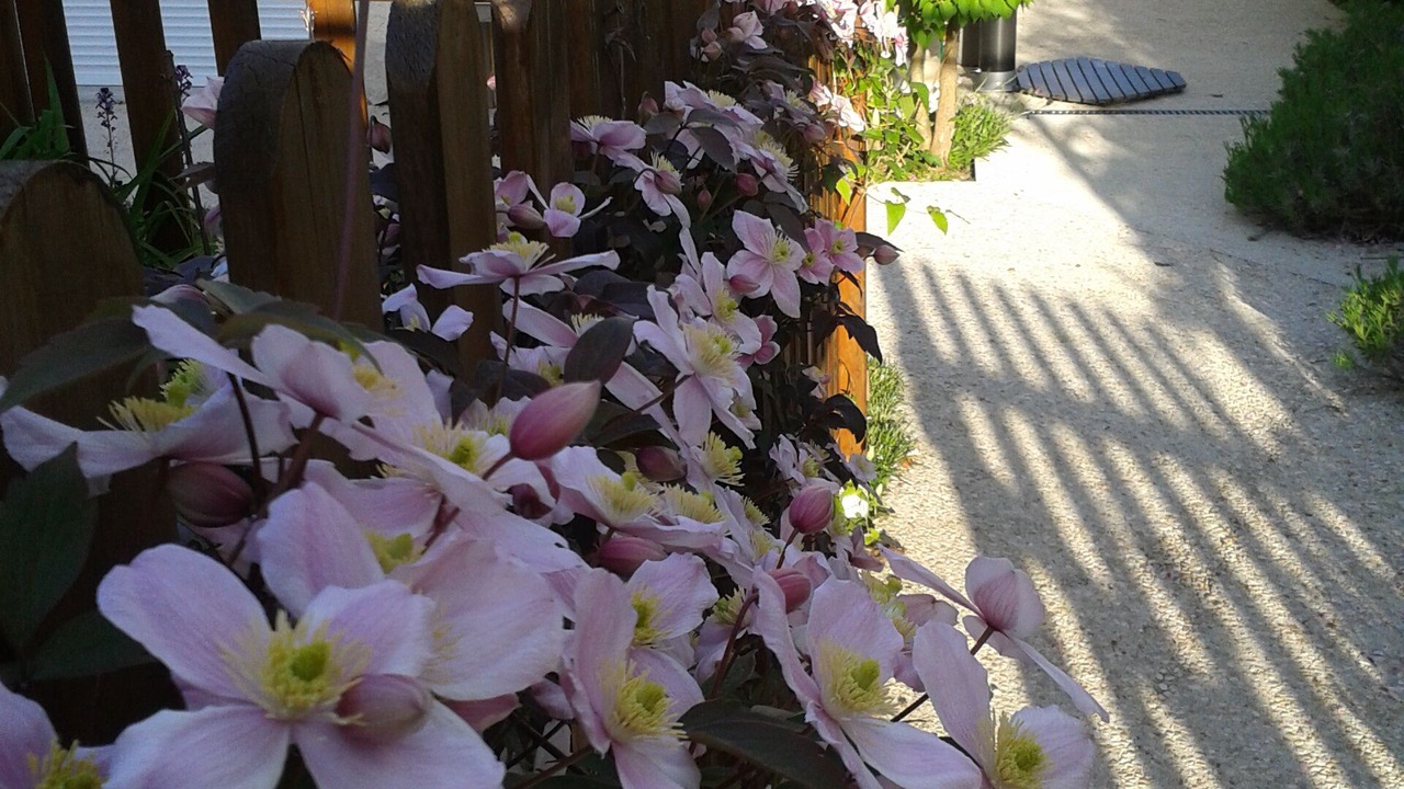 Photo of Outdoor in Baron