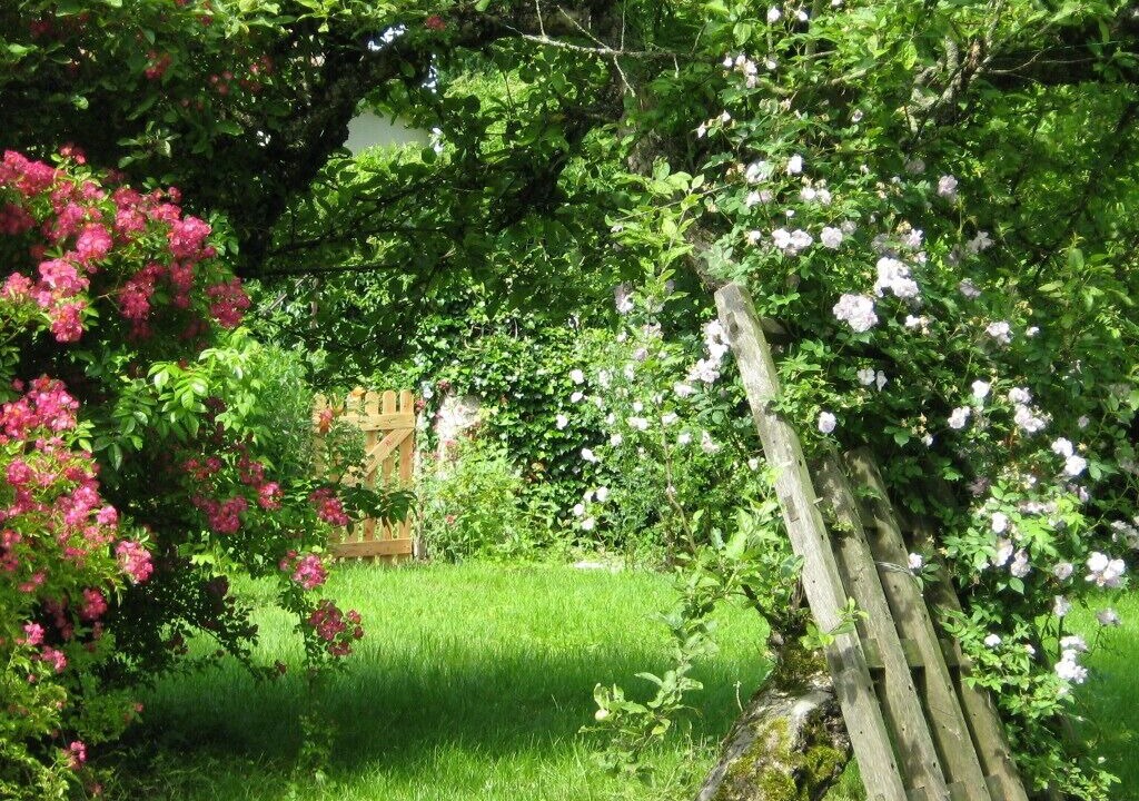 Photo of Outdoor in Quarre-les-Tombes