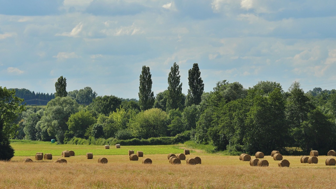 Photo of Others in Villerserine