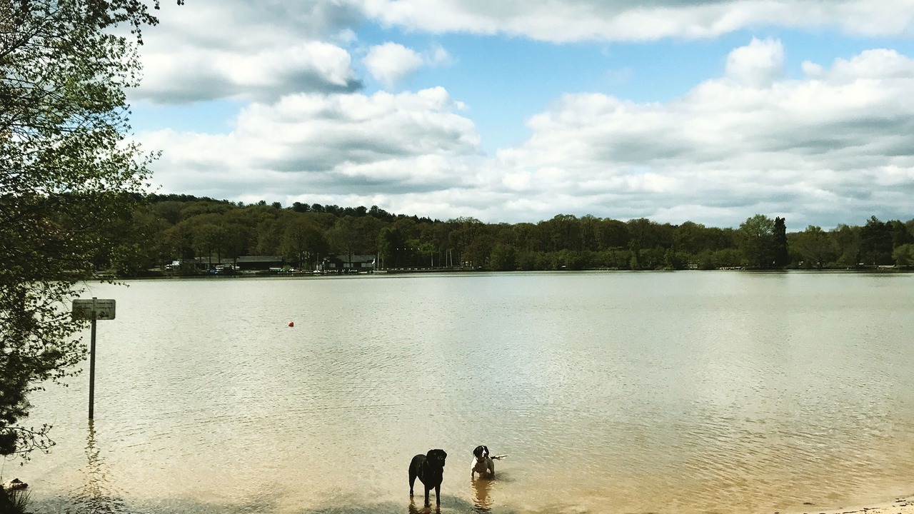 Photo of Outdoor in Saint-Symphorien