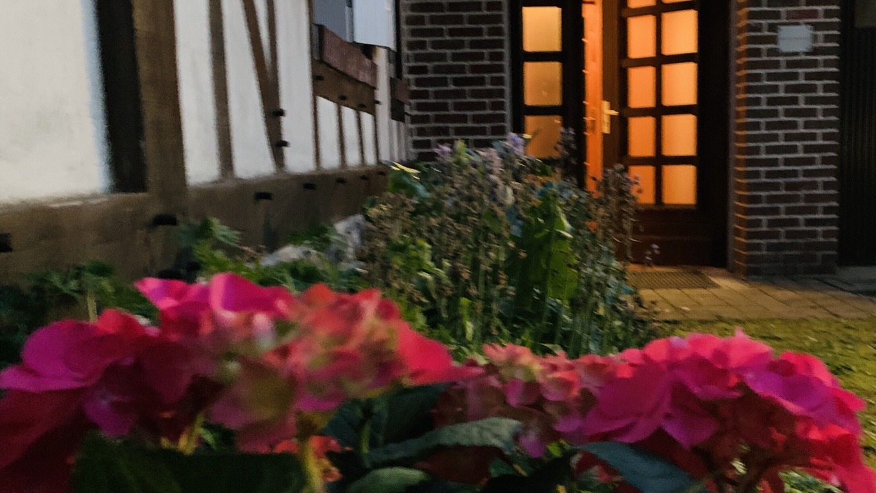 Photo of Outdoor in Maniquerville