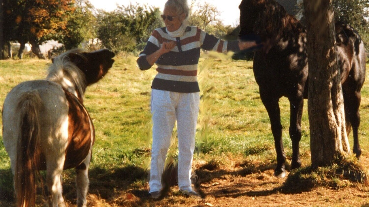 Photo of Others in Avernes-Saint-Gourgon
