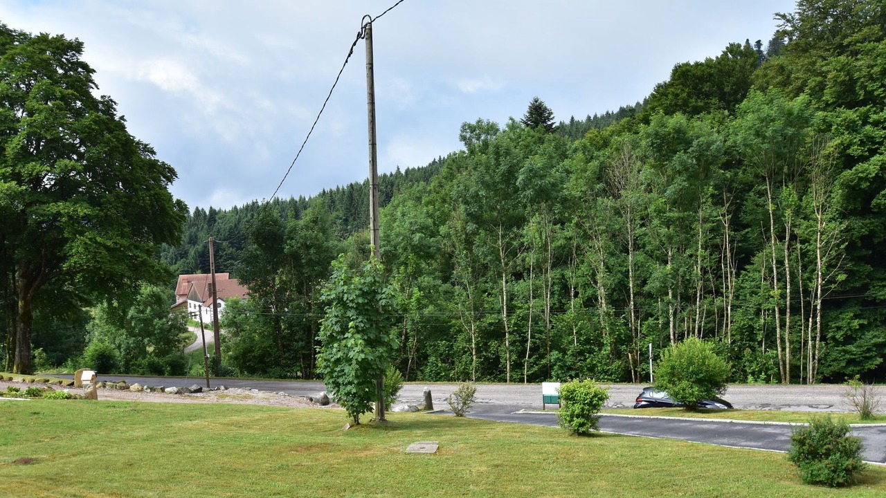 Photo of Others in Liezey
