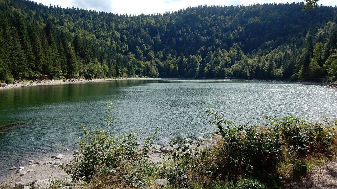 Photo of Others in Liezey
