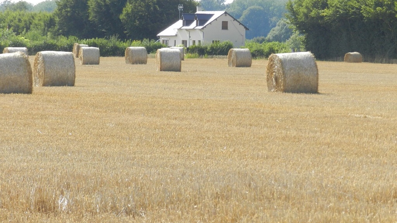 Photo of Outdoor in Esqueheries