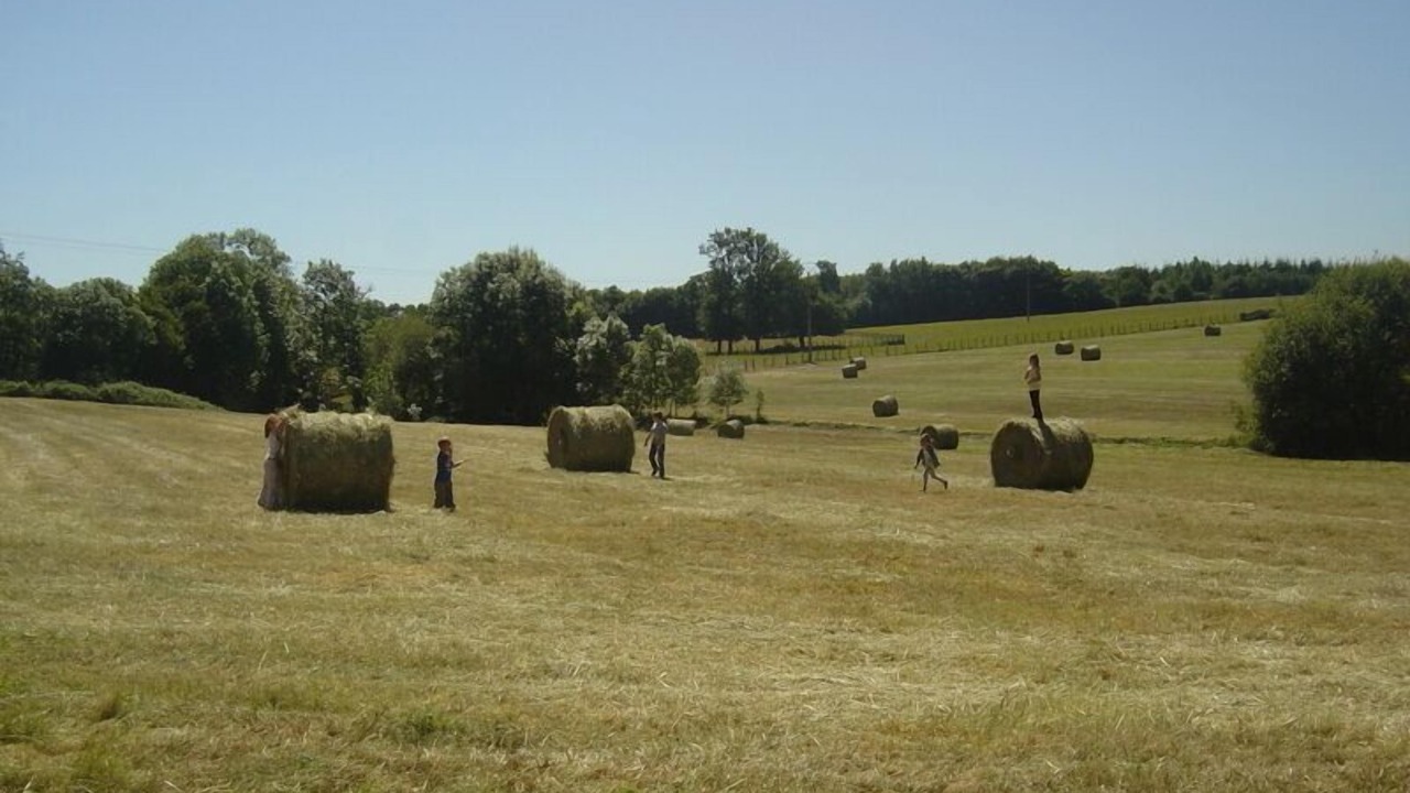 Photo of Others in Gesnes-le-Gandelin