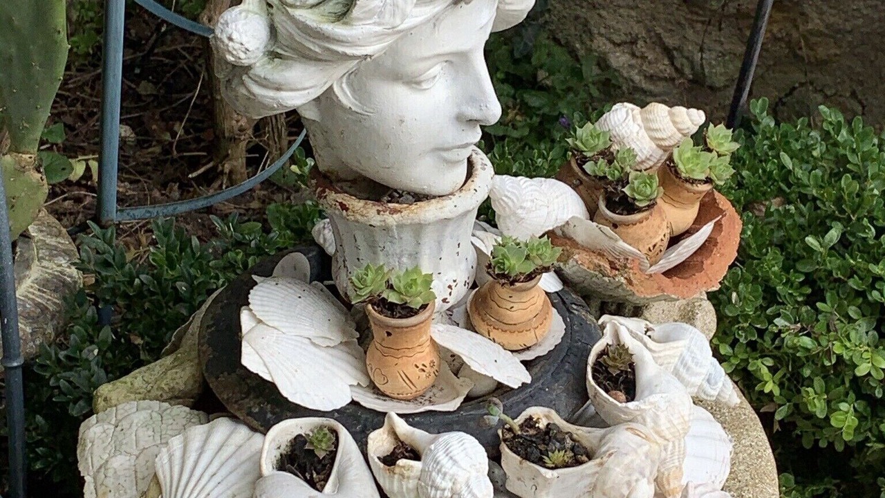 Photo of Outdoor in Amboise