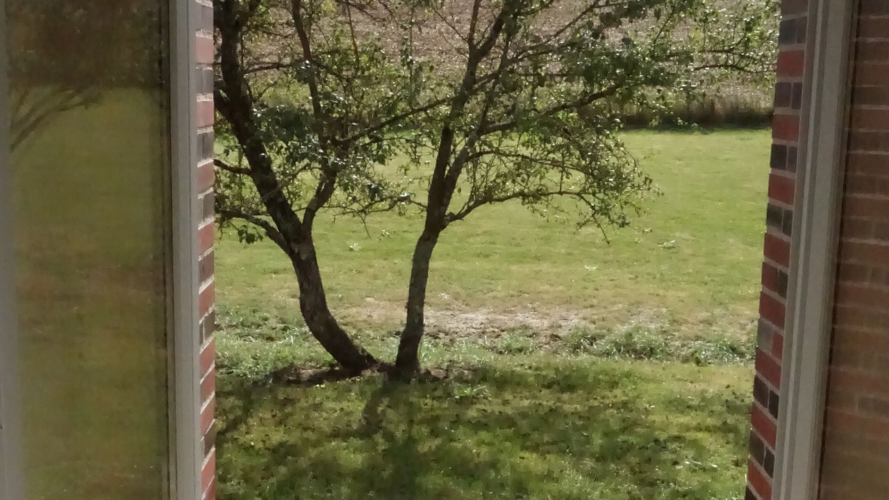 Photo of Others in Chaumot