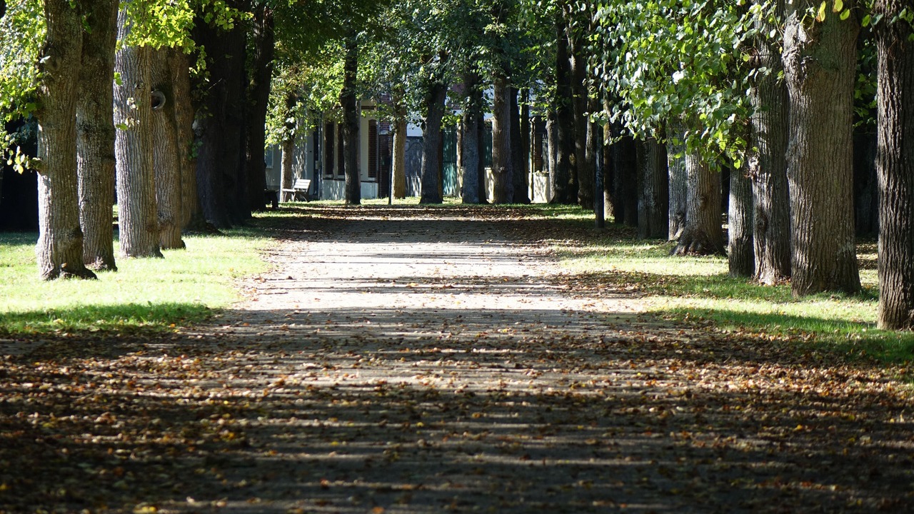 Photo of Outdoor in Chaumot