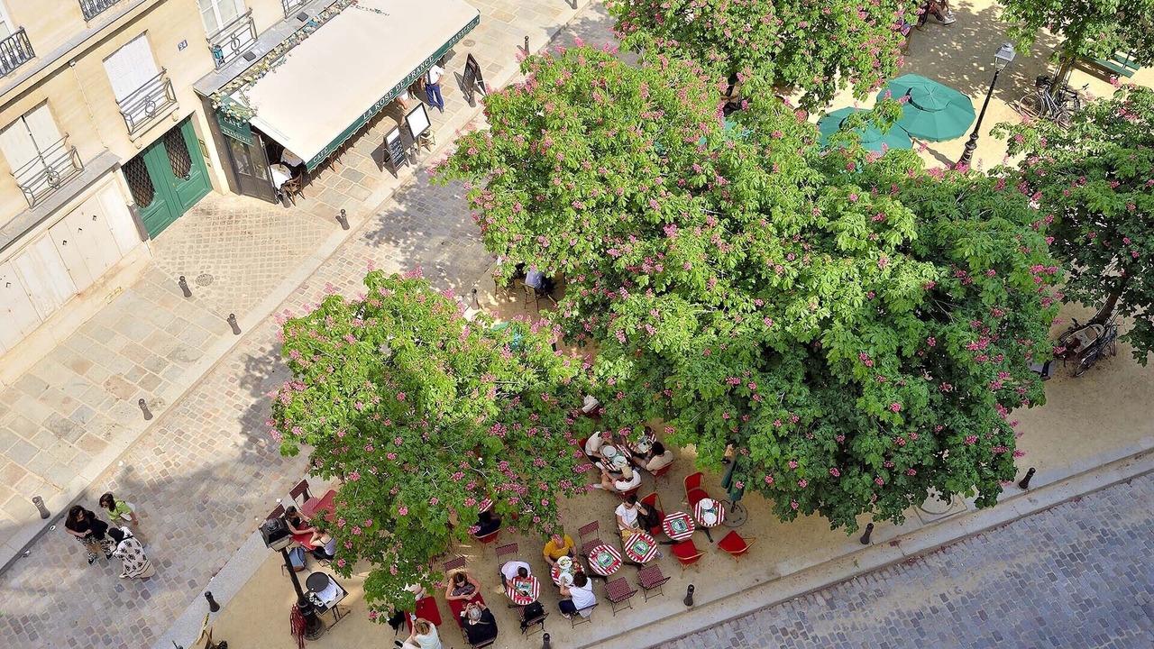 Photo of Outdoor in Paris City Center