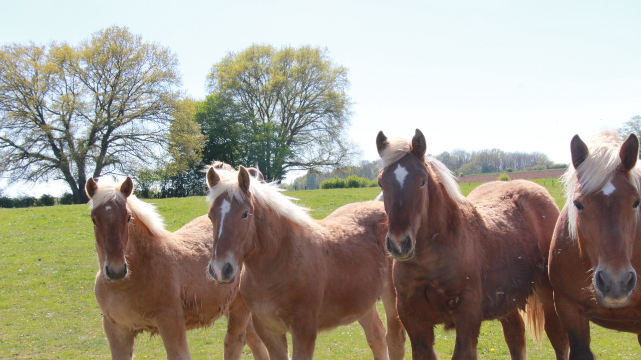 Photo of Others in Ronchamp