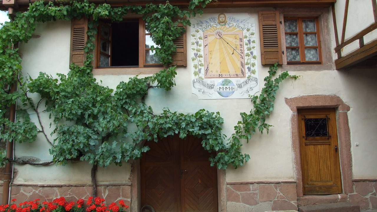 Photo of Outdoor in Triembach-au-Val