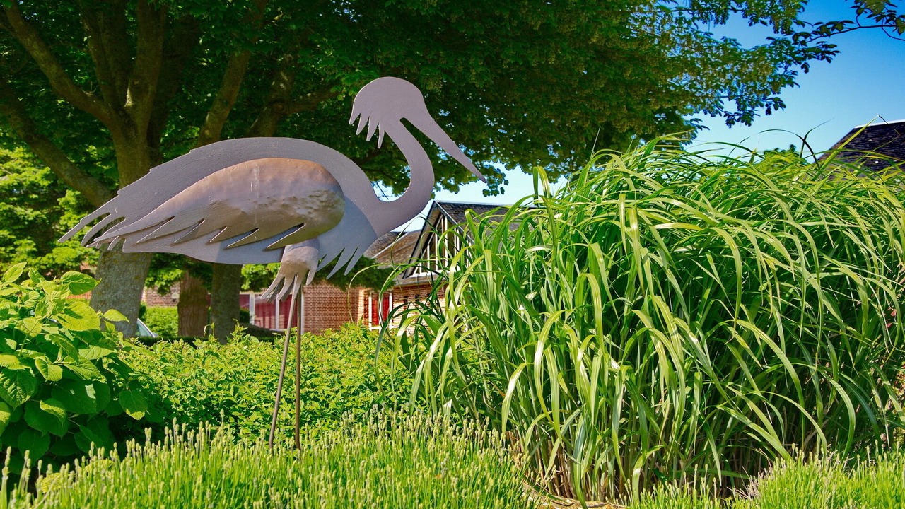 Photo of Outdoor in Saint-Riquier-es-Plains