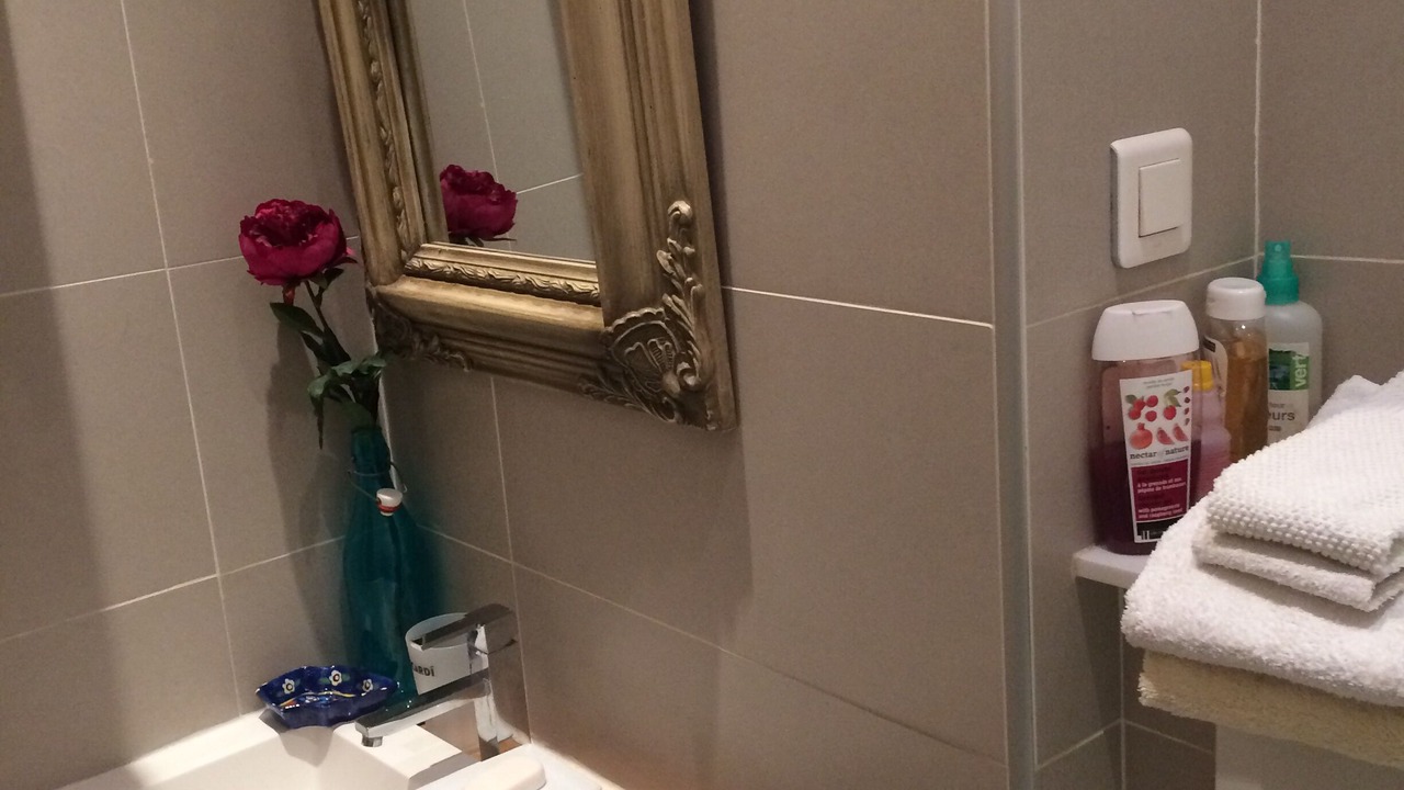 Photo of Bathroom in 9th Arrondissement