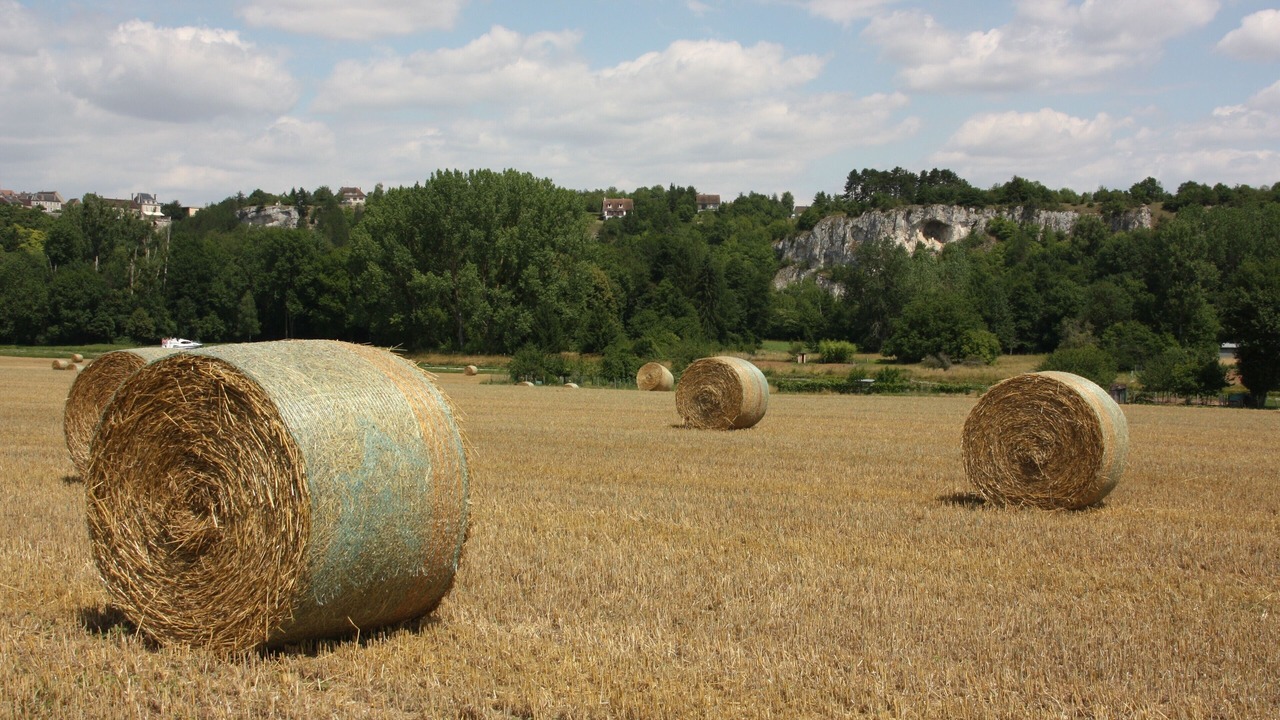Photo of Others in Fontenay-pres-Vezelay