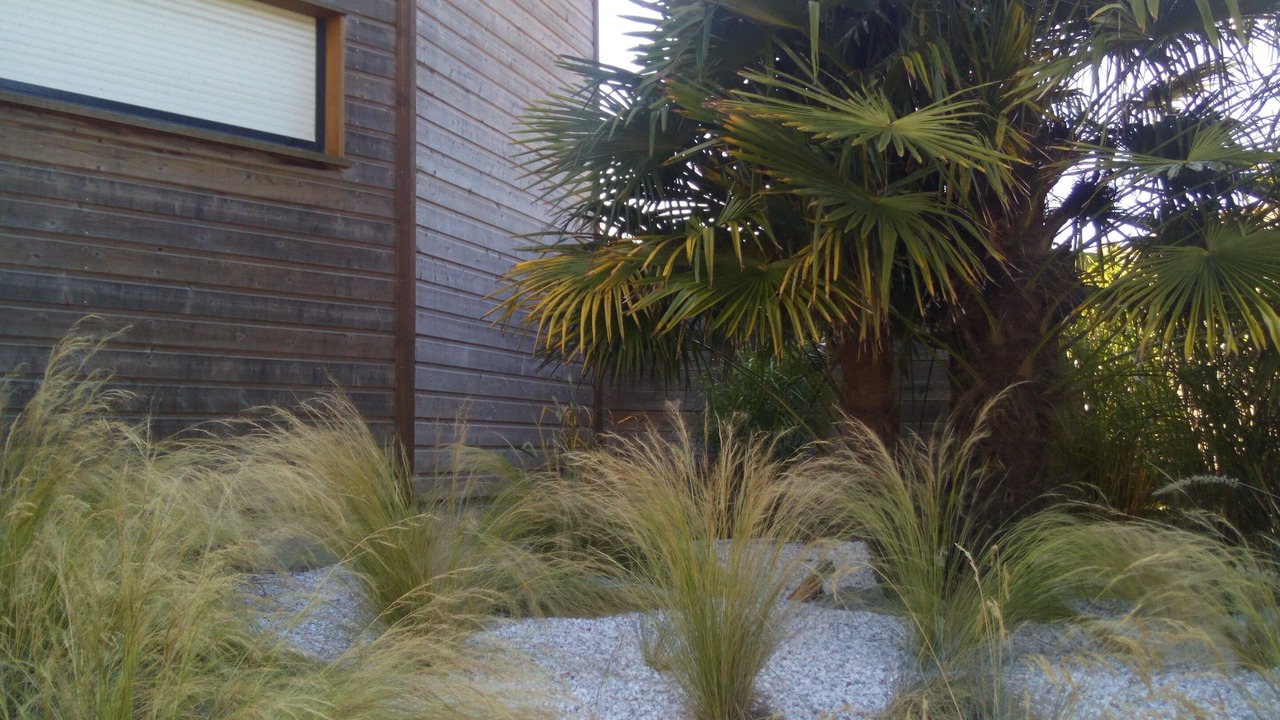 Photo of Outdoor in Friville-Escarbotin