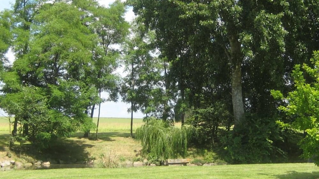 Photo of Outdoor in Pecy