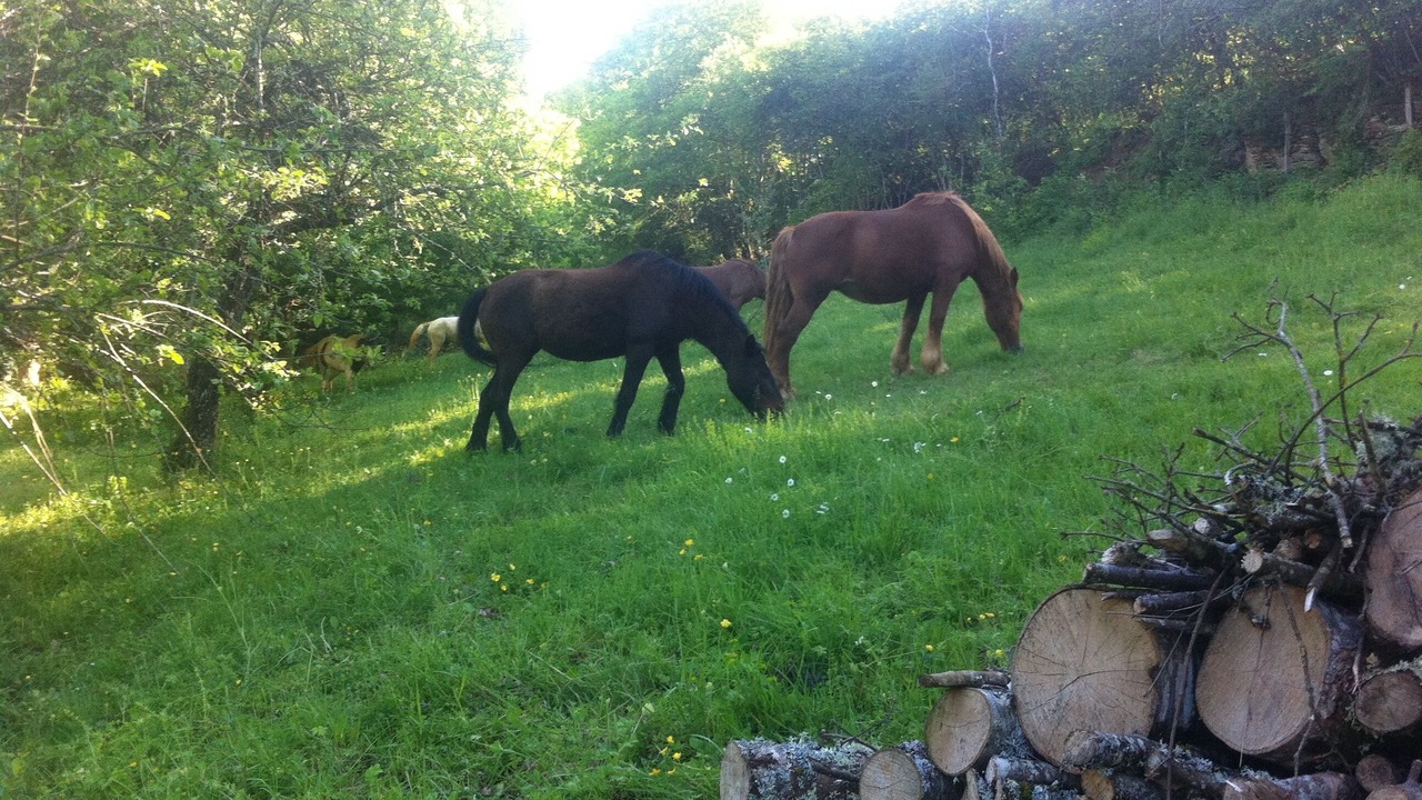 Photo of Outdoor in Chamoux