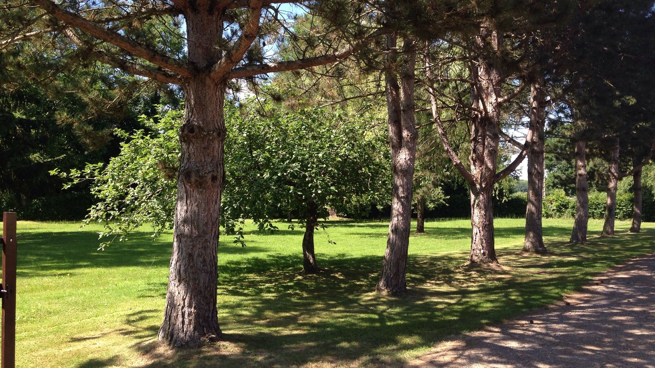 Photo of Outdoor in Saint-Georges-les-Landes
