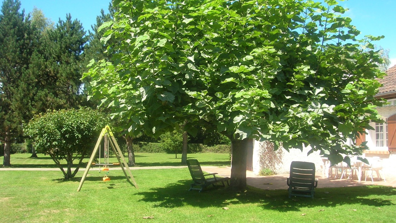 Photo of Outdoor in Saint-Georges-les-Landes