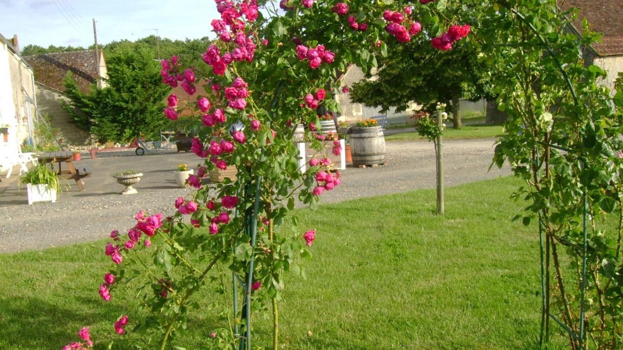 Photo of Outdoor in Chedigny