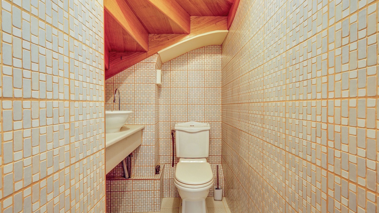 Photo of Bathroom in Clignancourt